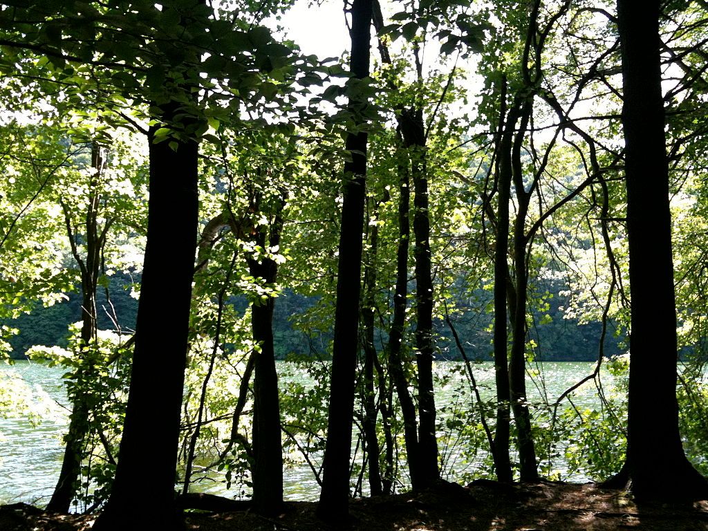 View of a lake along Mattabesett Trail