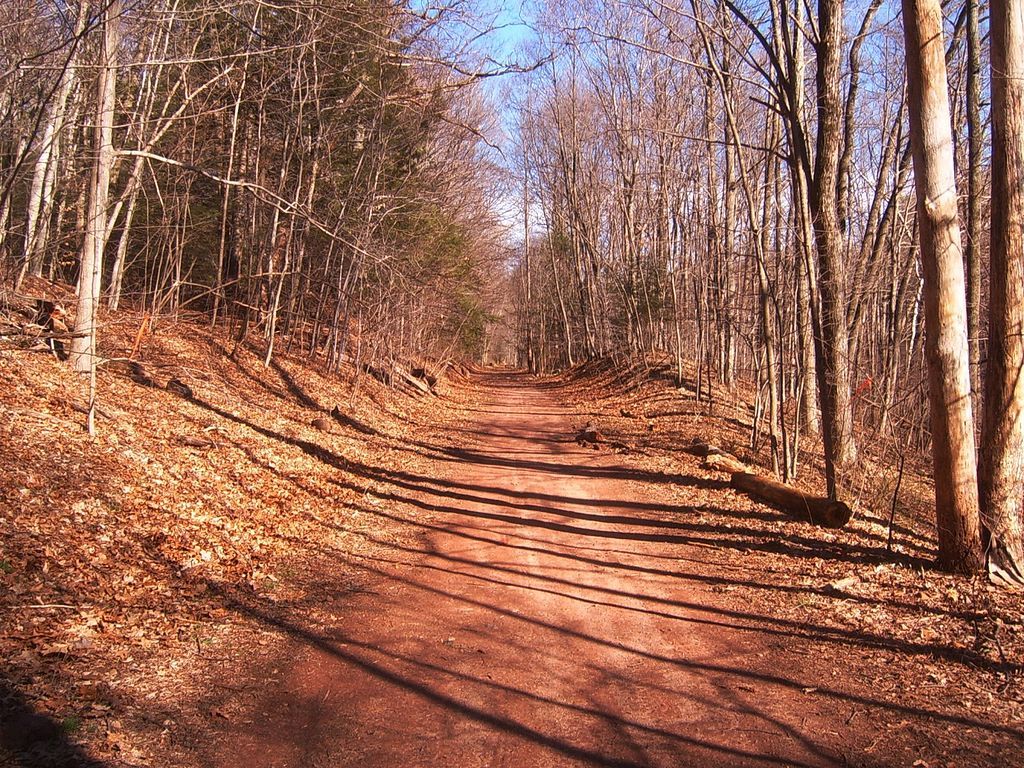 The Quinnipiac River Gorge Trail lined with trees
