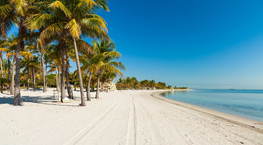 Beach at Crandon Park