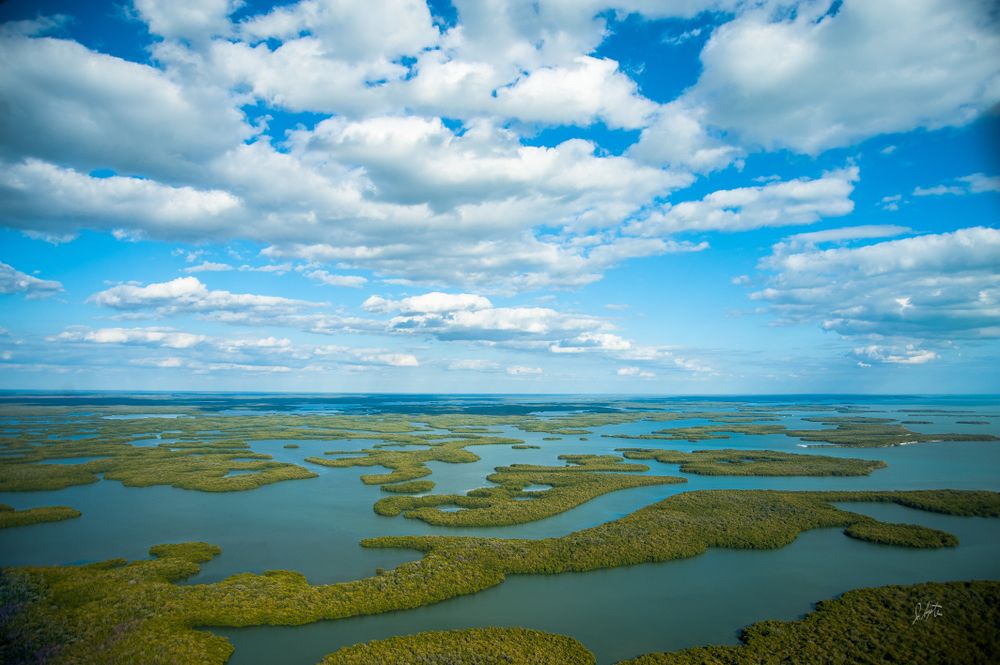 The waters of Everglades National Park