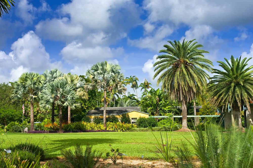 The grounds of Fairchild Tropical Botanic Garden