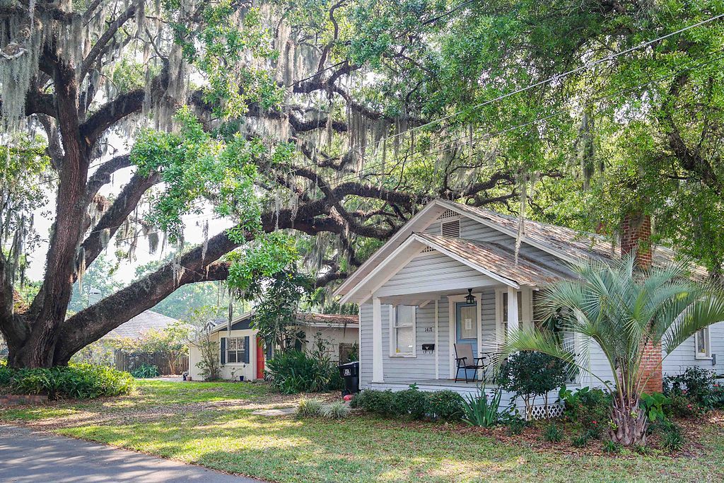 A large tree shading Jack Kerouac House