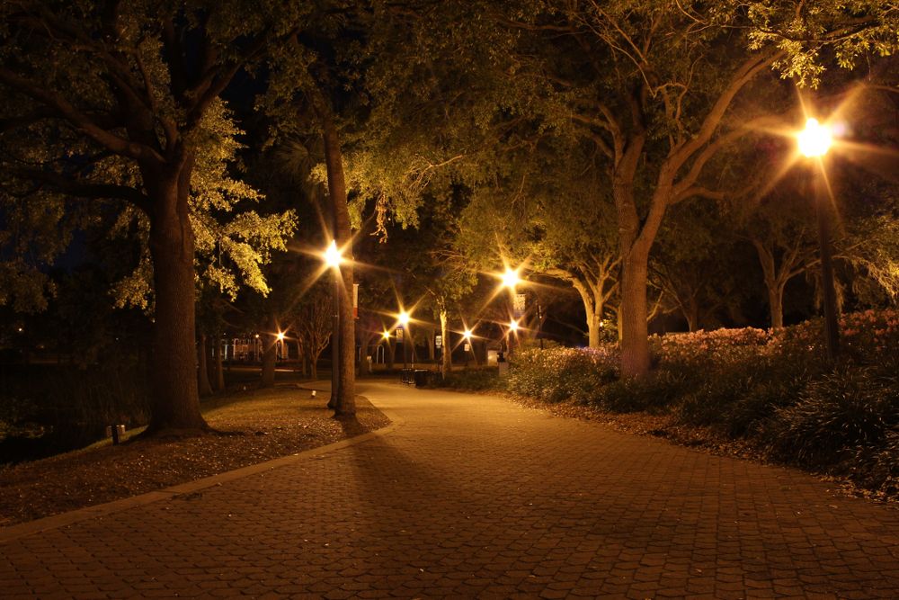 Night lights illuminating Lake Lily Park's pathway