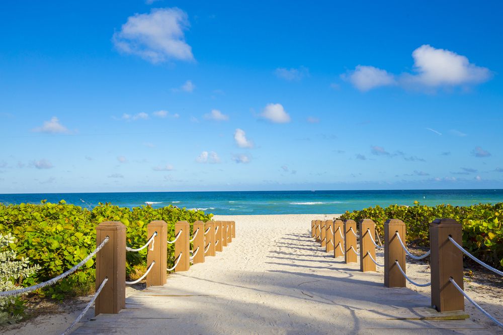 Beach trail at South Beach