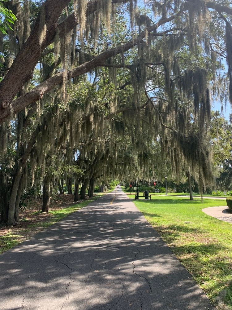 The paved pathway of West Orange Trail