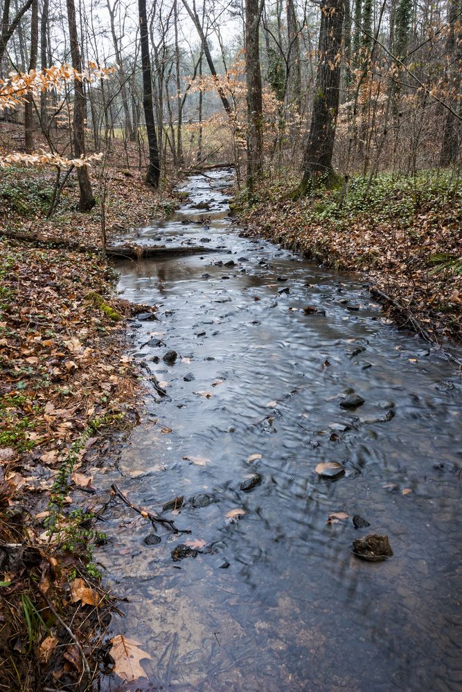 A stream at Chattahoochee River National Recreation Area