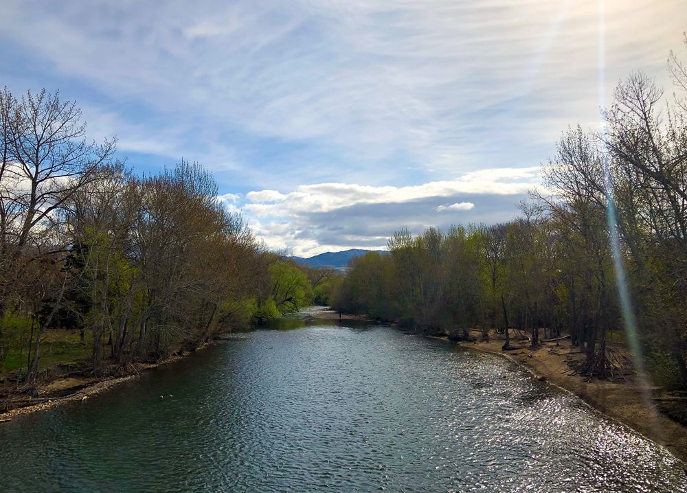 A river at Julia Davis Park