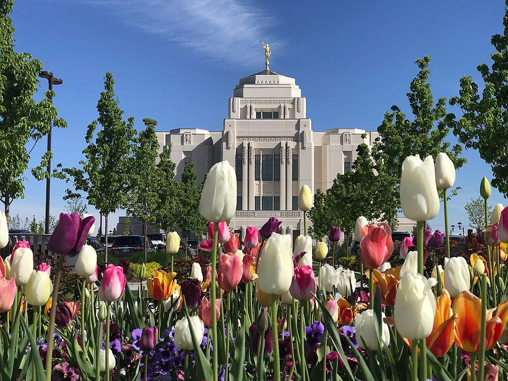 Beautiful tulips in front of Meridian Idaho Temple