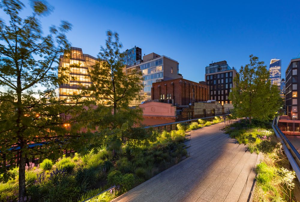 Plants along the High Line