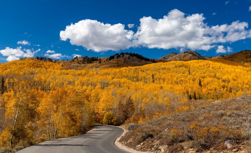 Scenic landscape at Wasatch Mountain State Park.