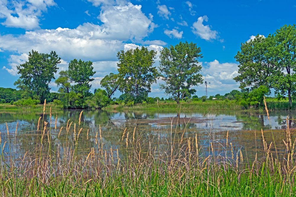 Praire pond at Goose Lake Prairie State Natural Area