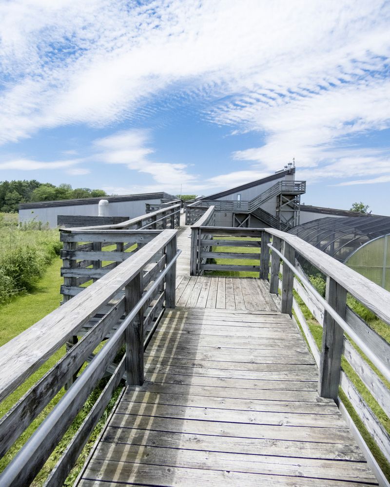 Boardwalk trail at Goose Lake Prairie State Natural Area
