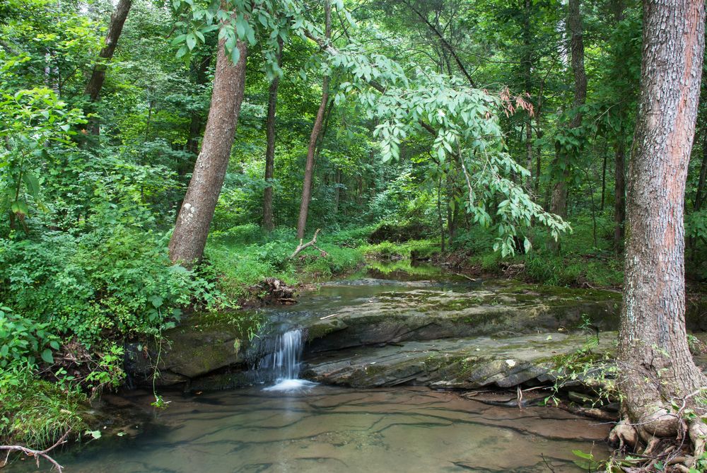 Bay creek at Shawnee National Forest