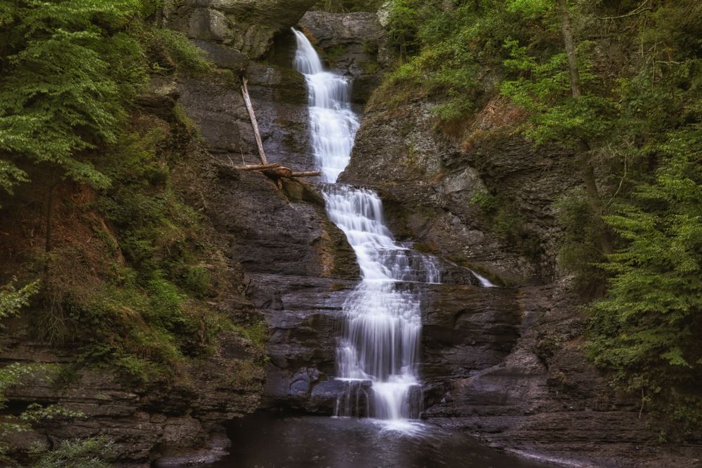 Scenic view of Raymondskill Falls