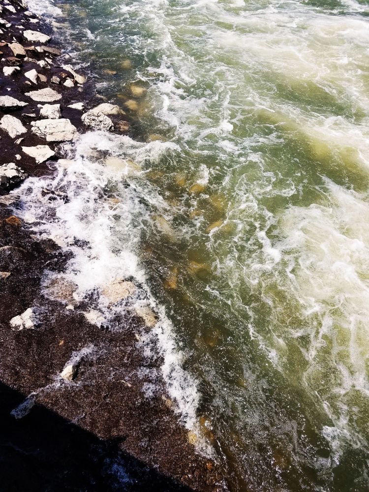The waters of Cave Run Lake