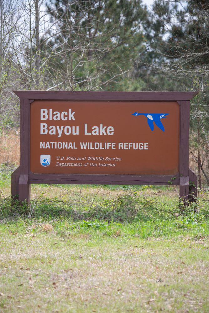 Welcome sign of Black Bayou Lake National Wildlife Refuge