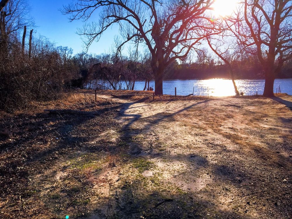 The grounds of Forsythe Park
