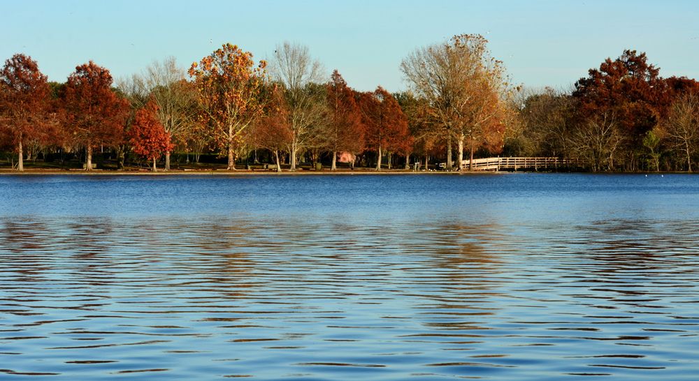 Waters at Lafreniere Park