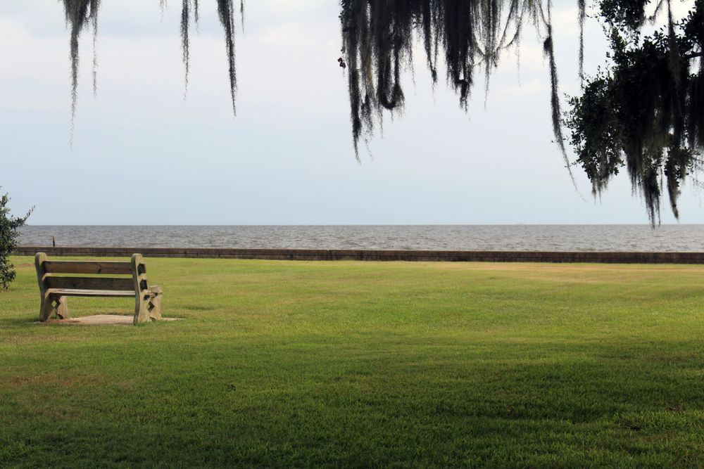 Bench overlooking the lake at Lakefront
