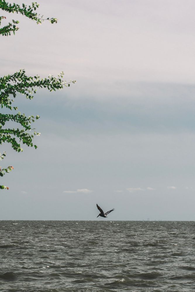 View of the waters from Lakefront