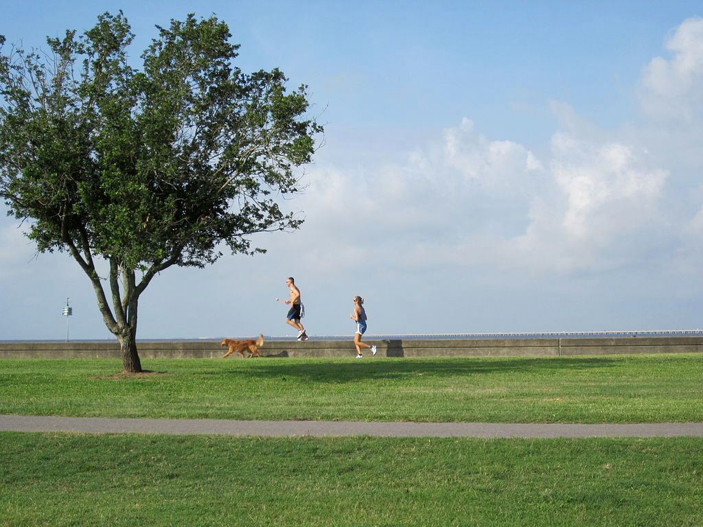Jogging at Lakefront