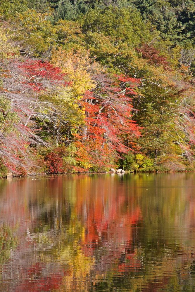 The waters of Blue Hills Reservation