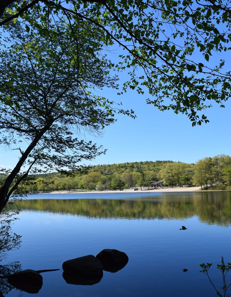 The waters of Houghton's Pond