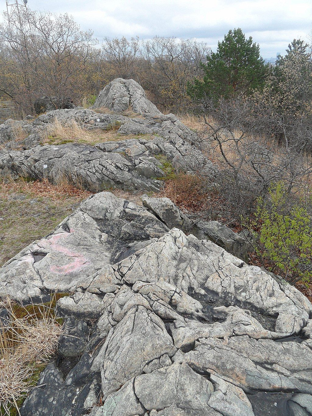 Pinnacle rock at Middlesex Fells Reservation