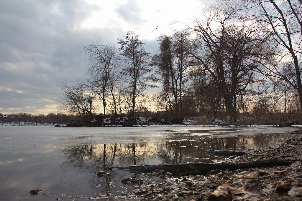River at Mystic River Reservation