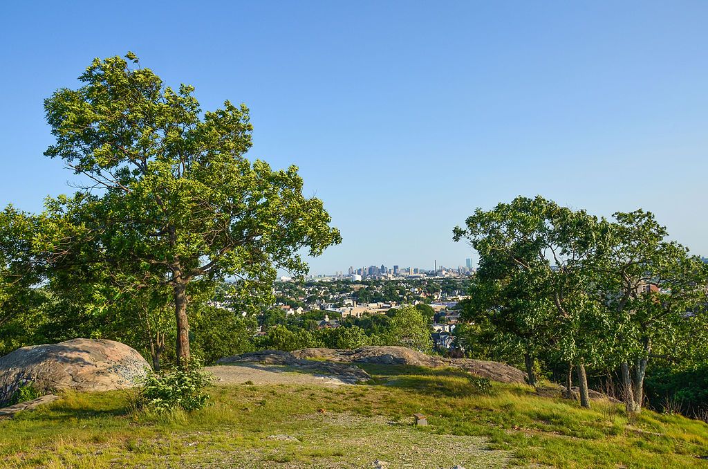 View of the city from Waitt’s Mountain