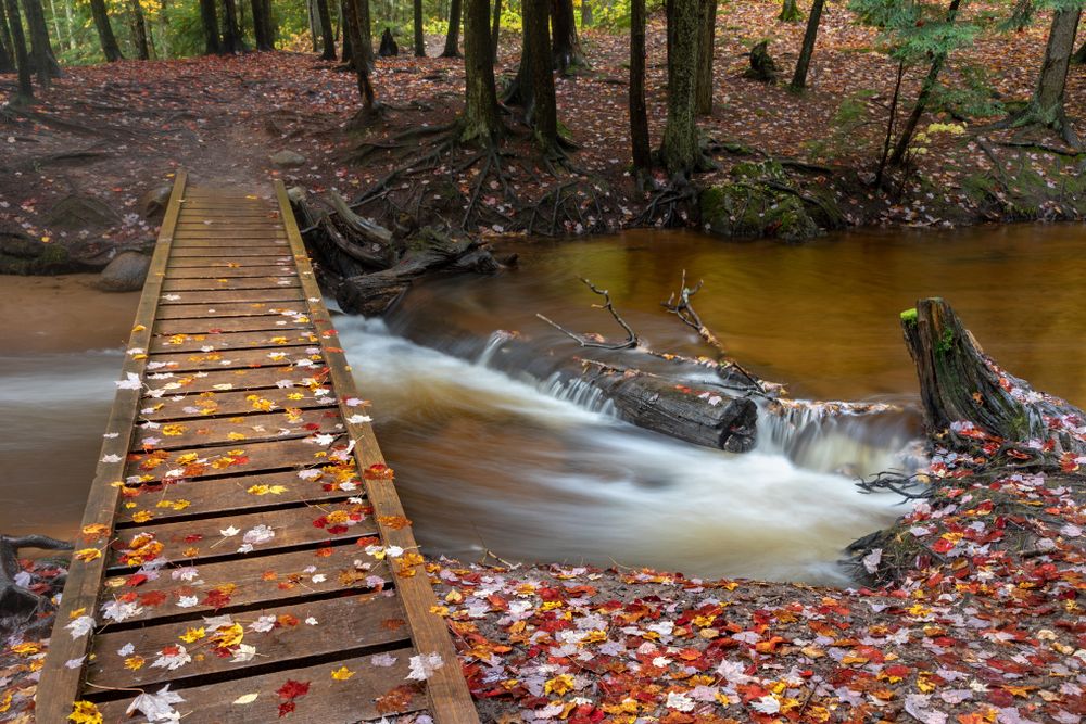 A boardwalk to cross Carp River