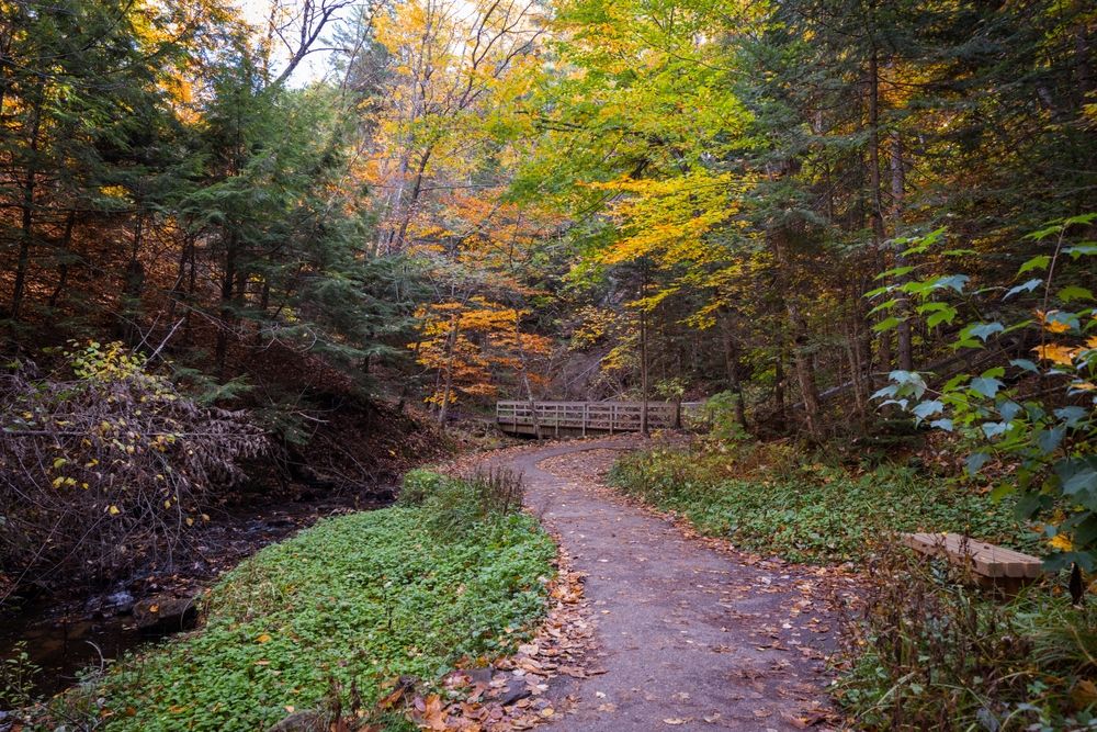 Hiking trail leading to Munising Falls