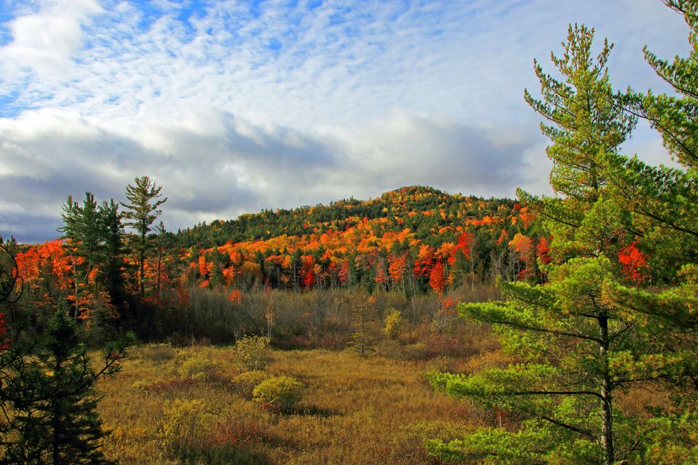 Beautiful autumn trees at Sugarloaf Mountain