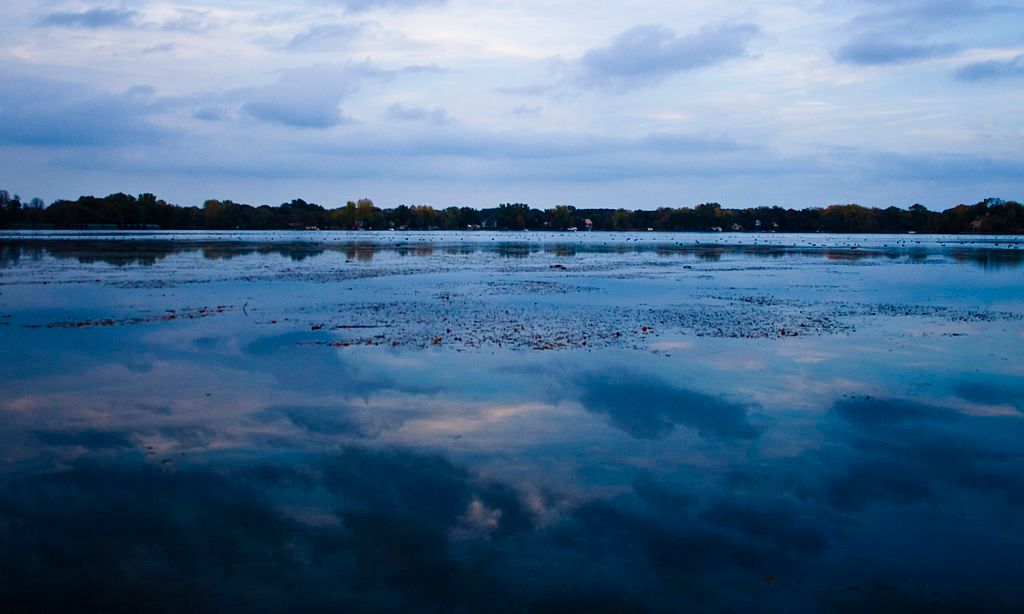 The waters of Gray’s Bay