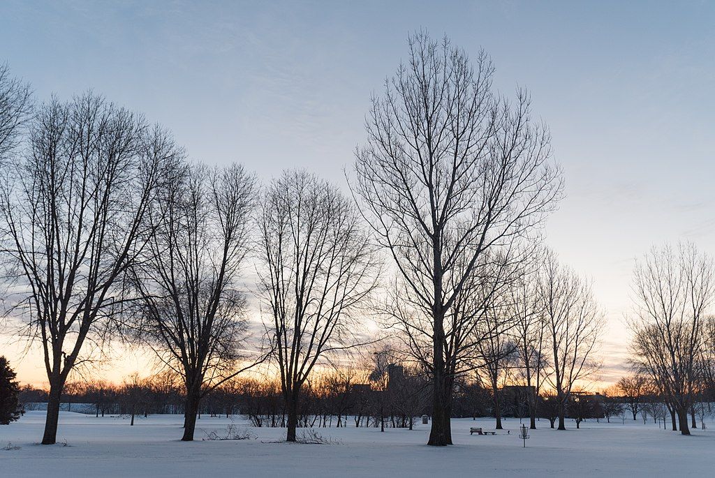 Winter scene at Land of Memories Park