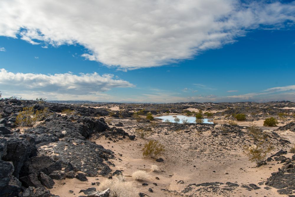 View of a lava bed