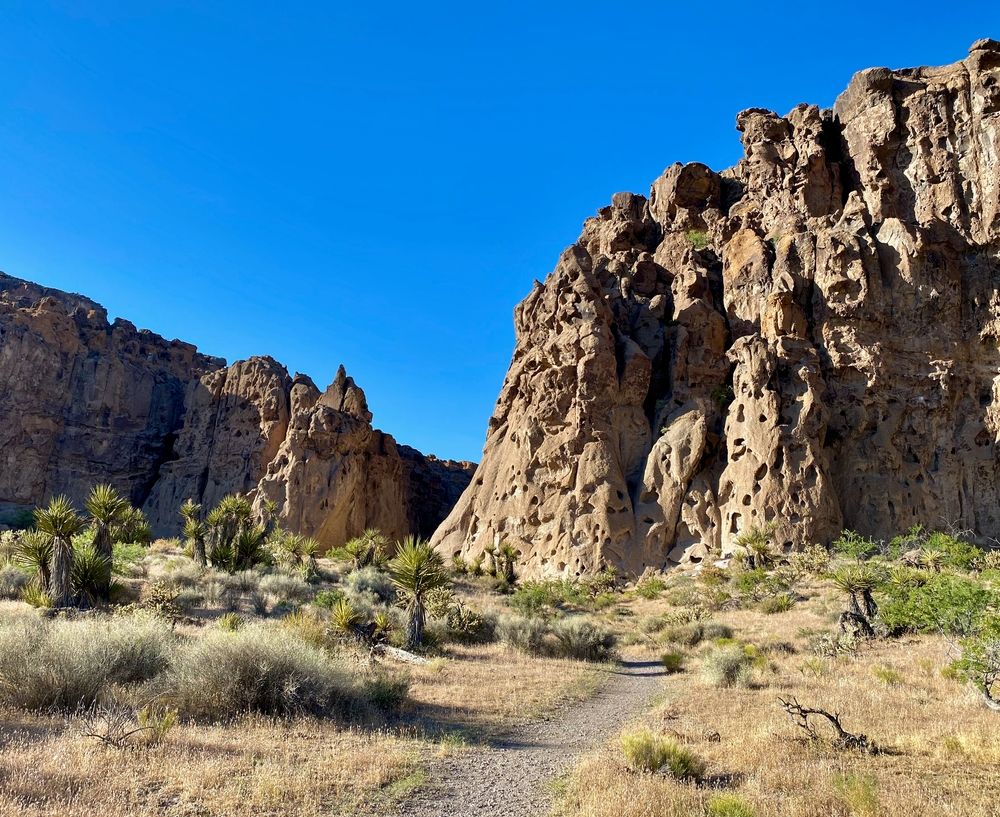 View of the unique Hole-in-the-Wall Rings Trail