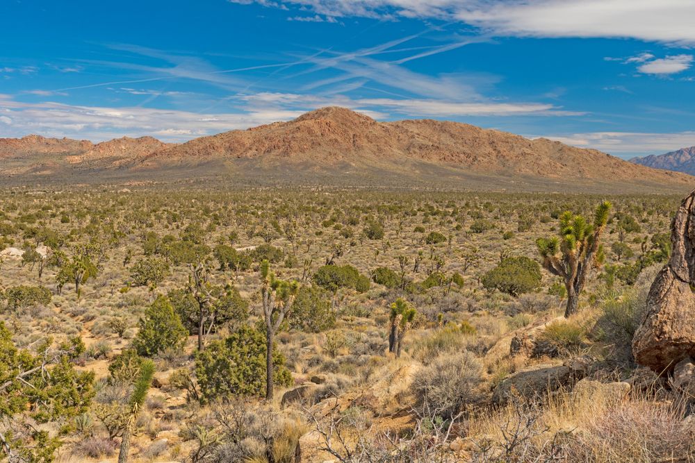 Daytime view of Teutonia Peak Trail