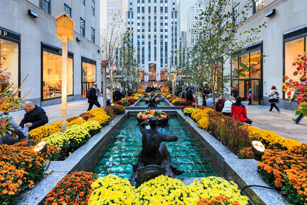 Vibrant flowers at Channel Gardens