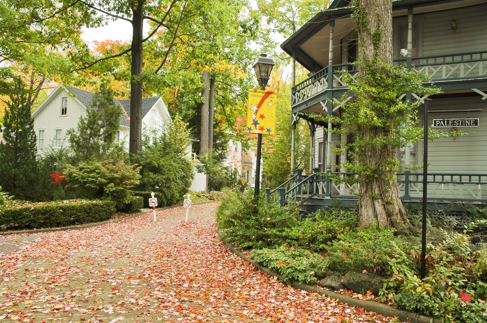 Fall foliage along Chautauqua Institution's street