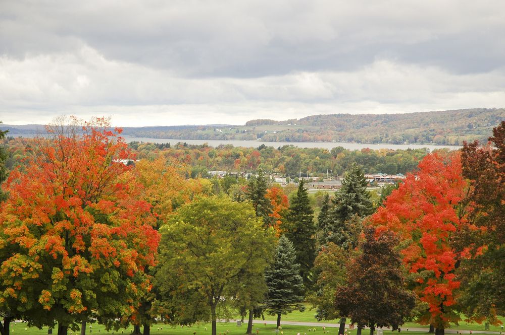 Autumn trees at Chautauqua Institution