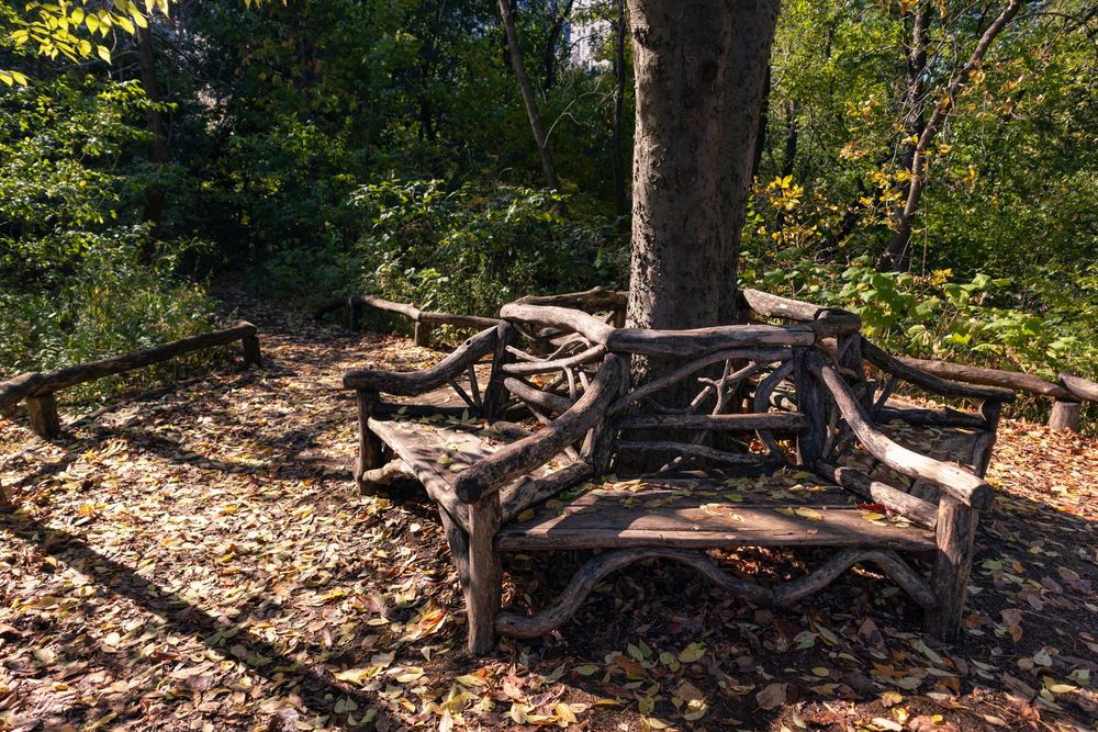 Bench along Hallett Nature Sanctuary