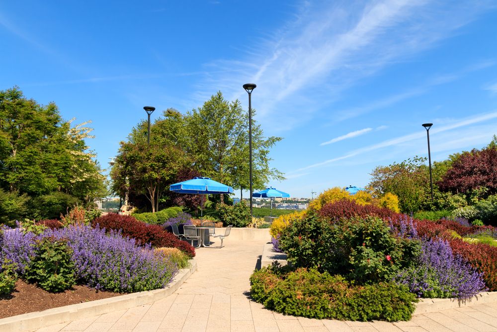 Flora at Hudson River Park