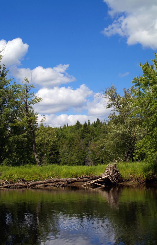 The calm waters of Raquette River