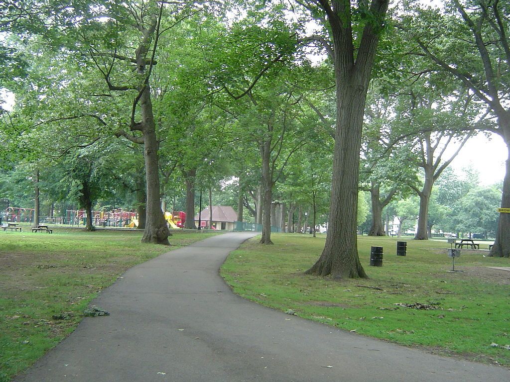 Trees at Glenfield Park.