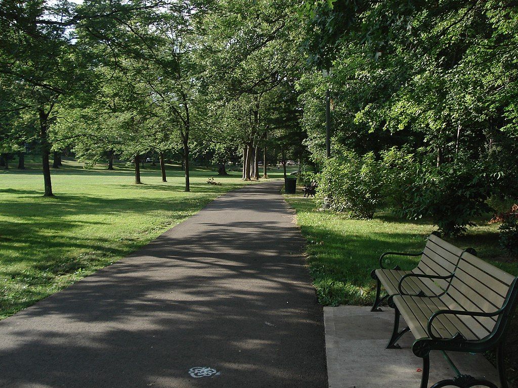 Bench at anderson park.