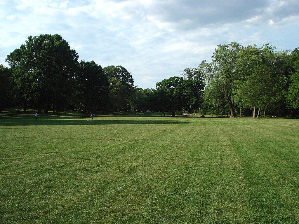 Lawn at anderson park.