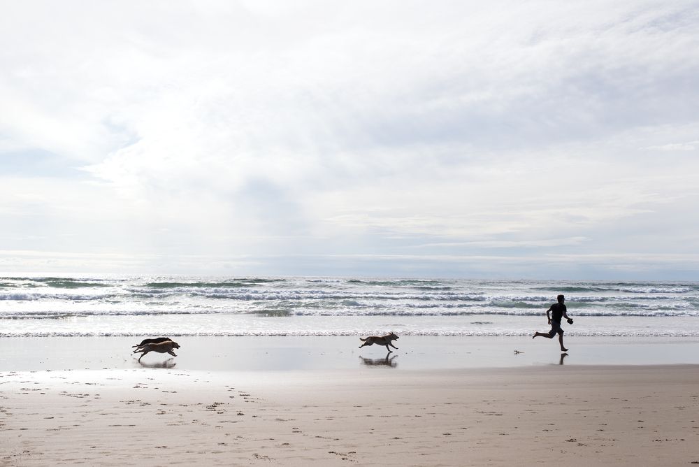A person running with dogs at Cannon Beach