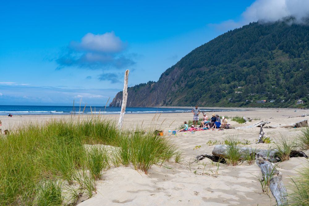 People enjoying a picnic at Manzanita Beach