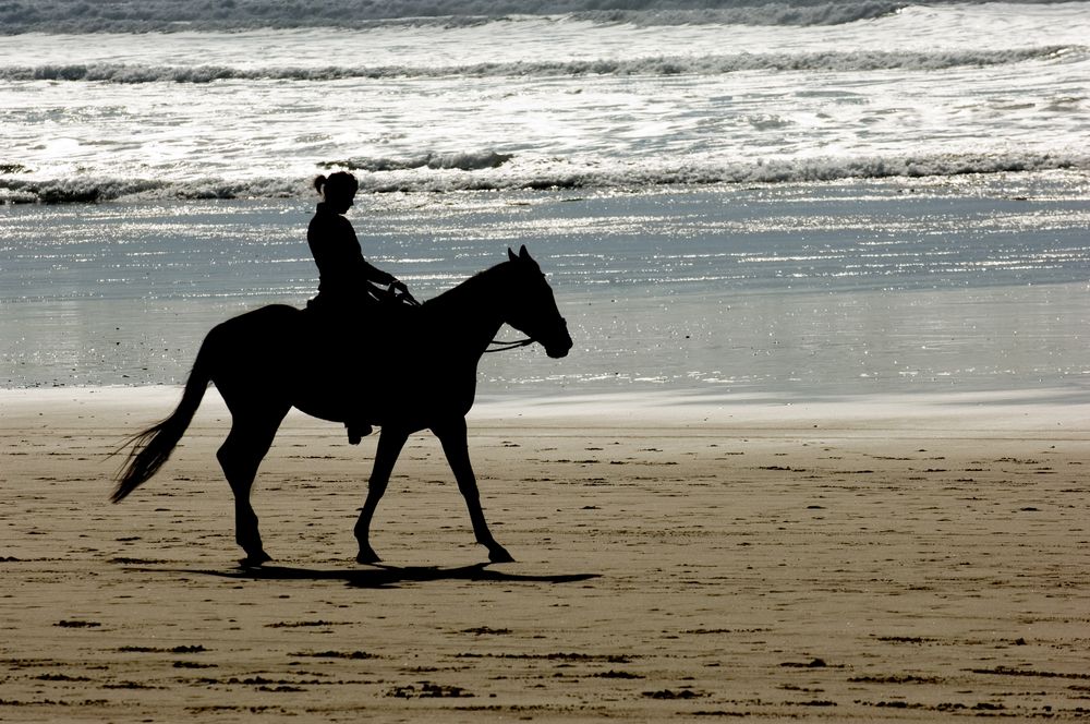 Horseback riding at Oregon Beach